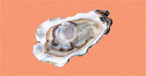 viennese oyster|Viennese Oyster Definition & Meaning .